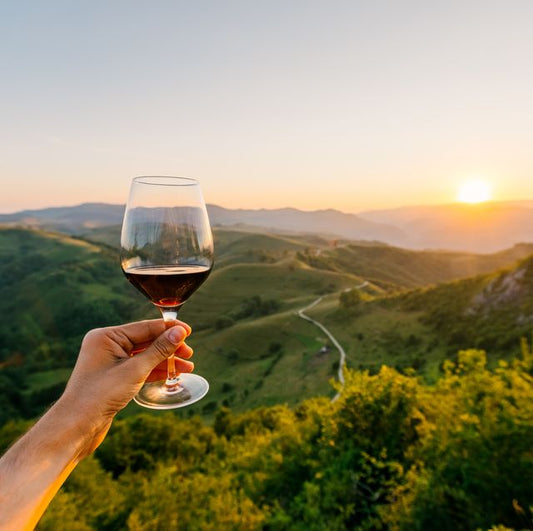 Exploring Tuscan Wines: Flavorful Journeys